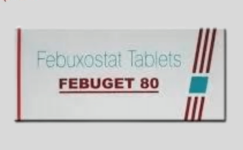 Febuget Febuxostat Tablets 80 mg | Rizochem Pharmaceuticals Exporter