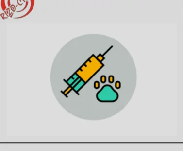 nandrolone decanoate injection 50mg