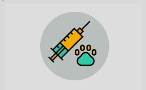 nandrolone decanoate injection 50mg