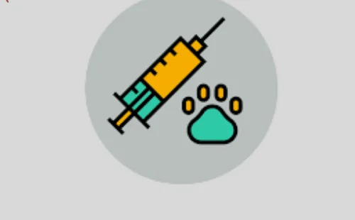Hydroxyprogesterone Injection 500mg/2ml