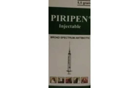 Piroxicam 40mg 2ml by rizochem pharmaceuticals
