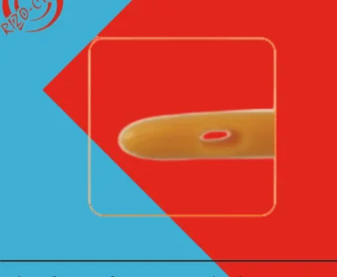 Optimal eye