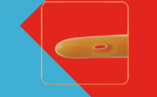 Optimal eye