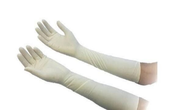Gynaecological Elbow Length Gloves by rizochem pharmaceuticals