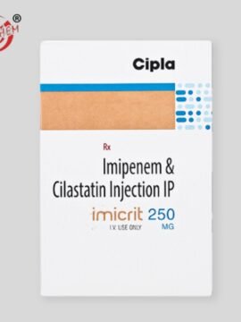Imicrit 1000/1000mg Injection