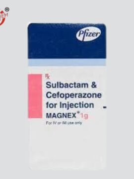 Magnex 1gm Injection - a pharmaceutical vial containing 1 gram dosage for medical use.