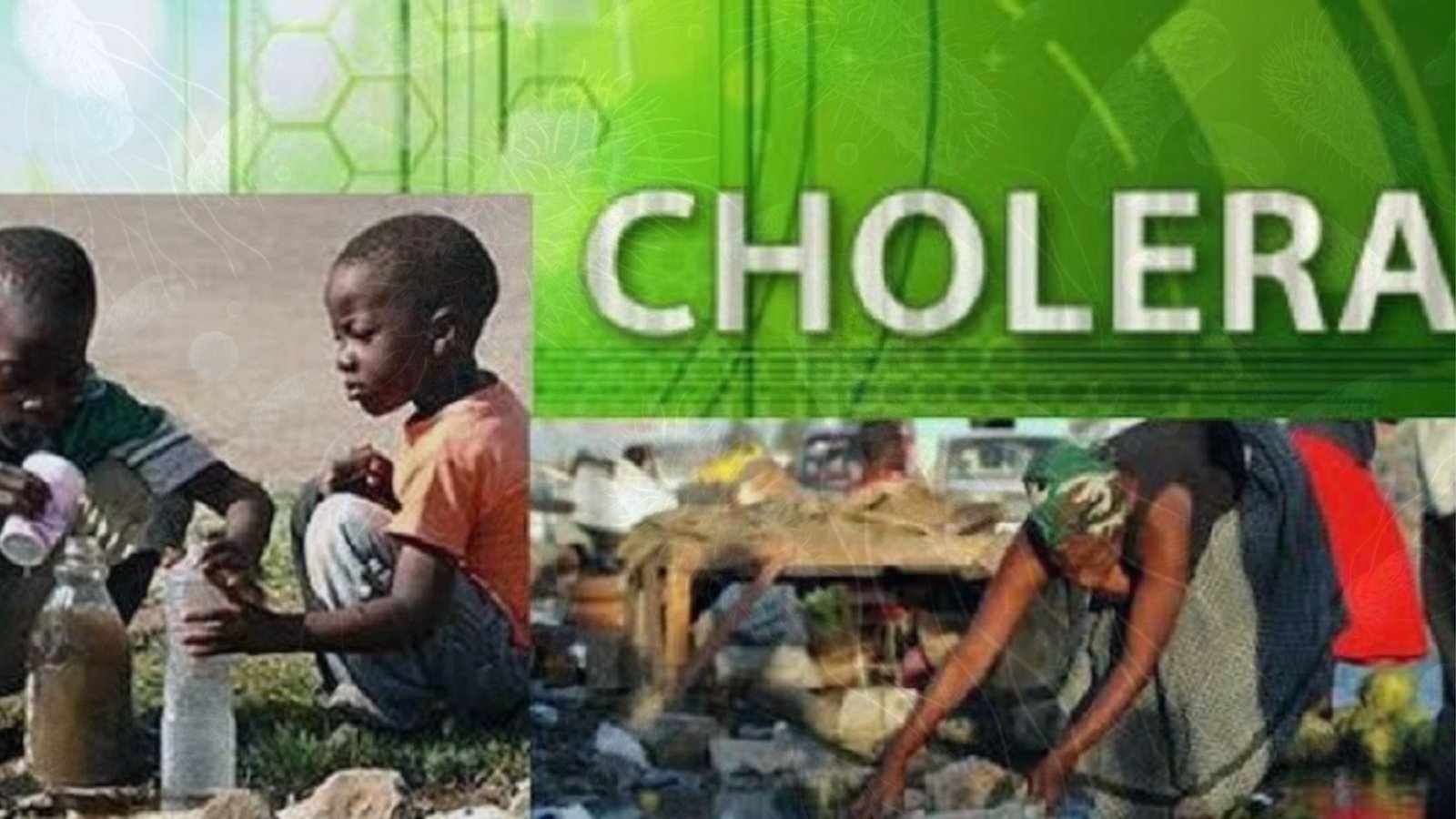 Cholera