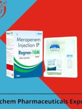 Ragnex 1gm Injection