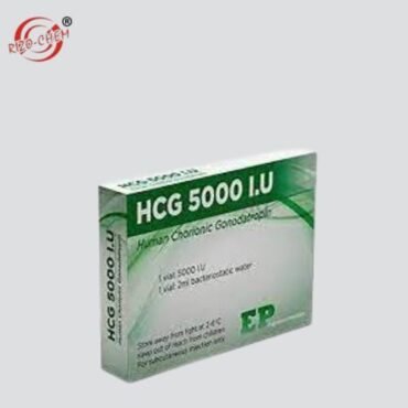 Photograph of an IVF medication vial labeled 'hCG 5000IU Injection'.